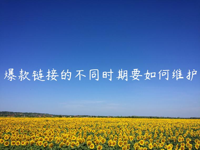 爆款鏈接的不同時(shí)期要如何維護(hù)